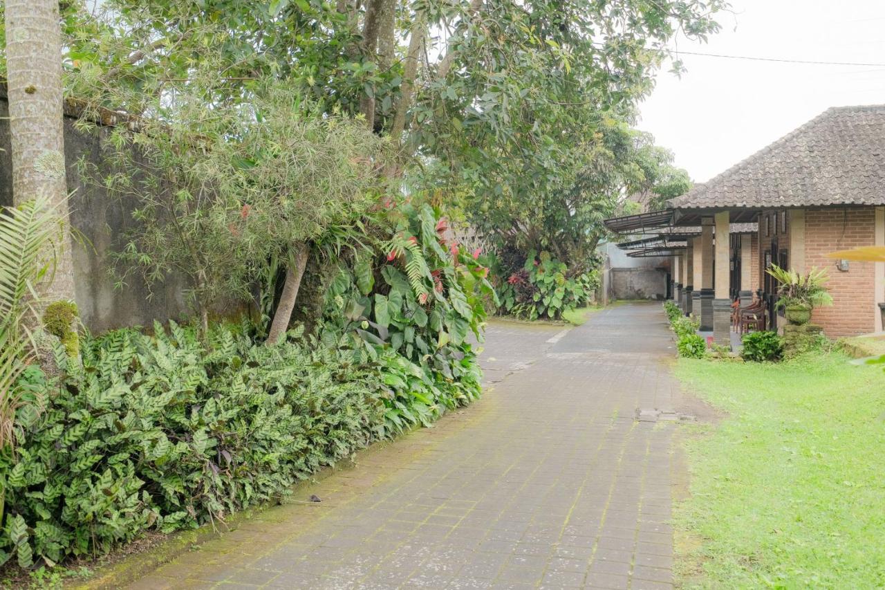 Pelangi Homestay Bedugul Redpartner 외부 사진